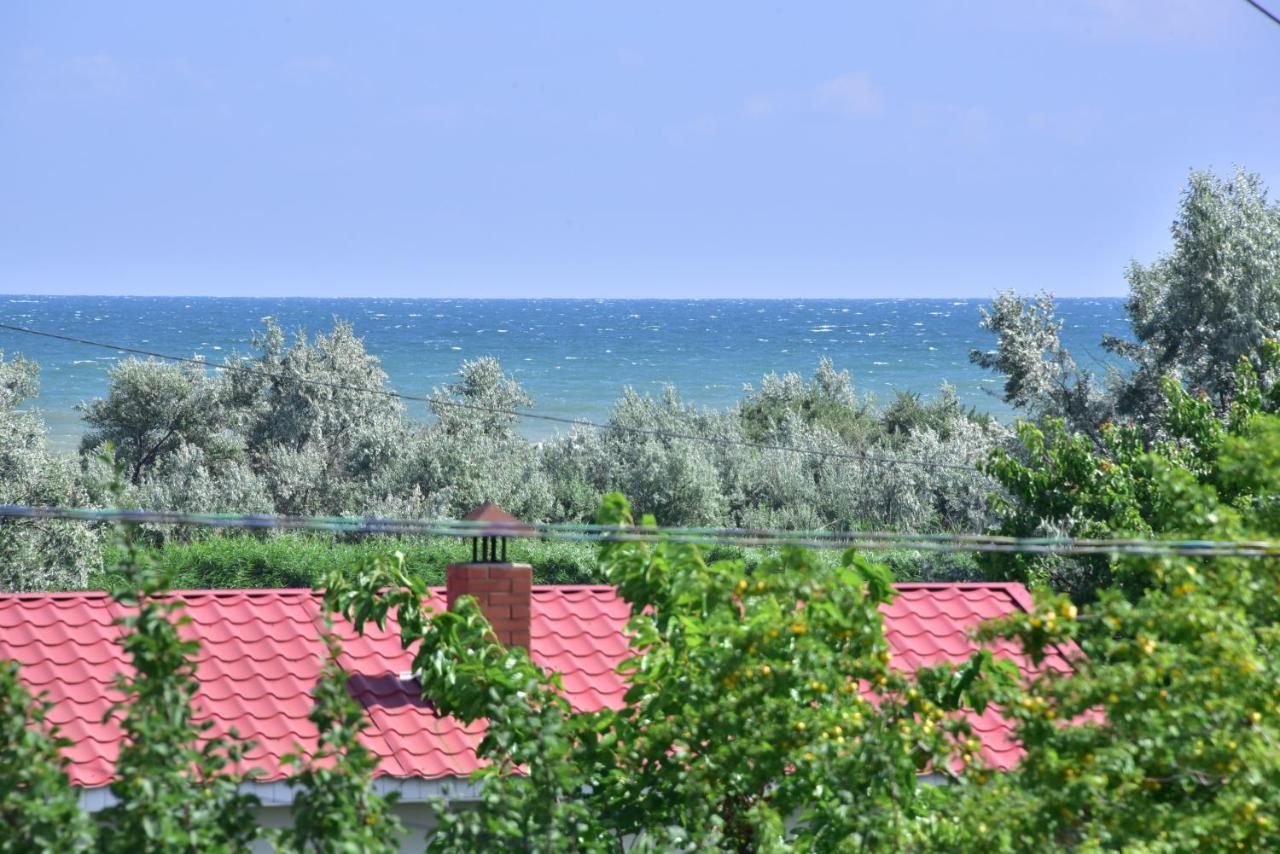 Гостевой дом Дом семейного отдыха Морской конёк Затока-4