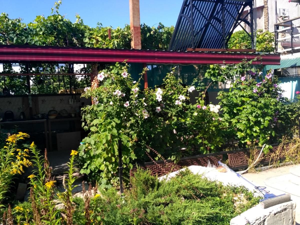 Гостевой дом Дом семейного отдыха Морской конёк Затока-6