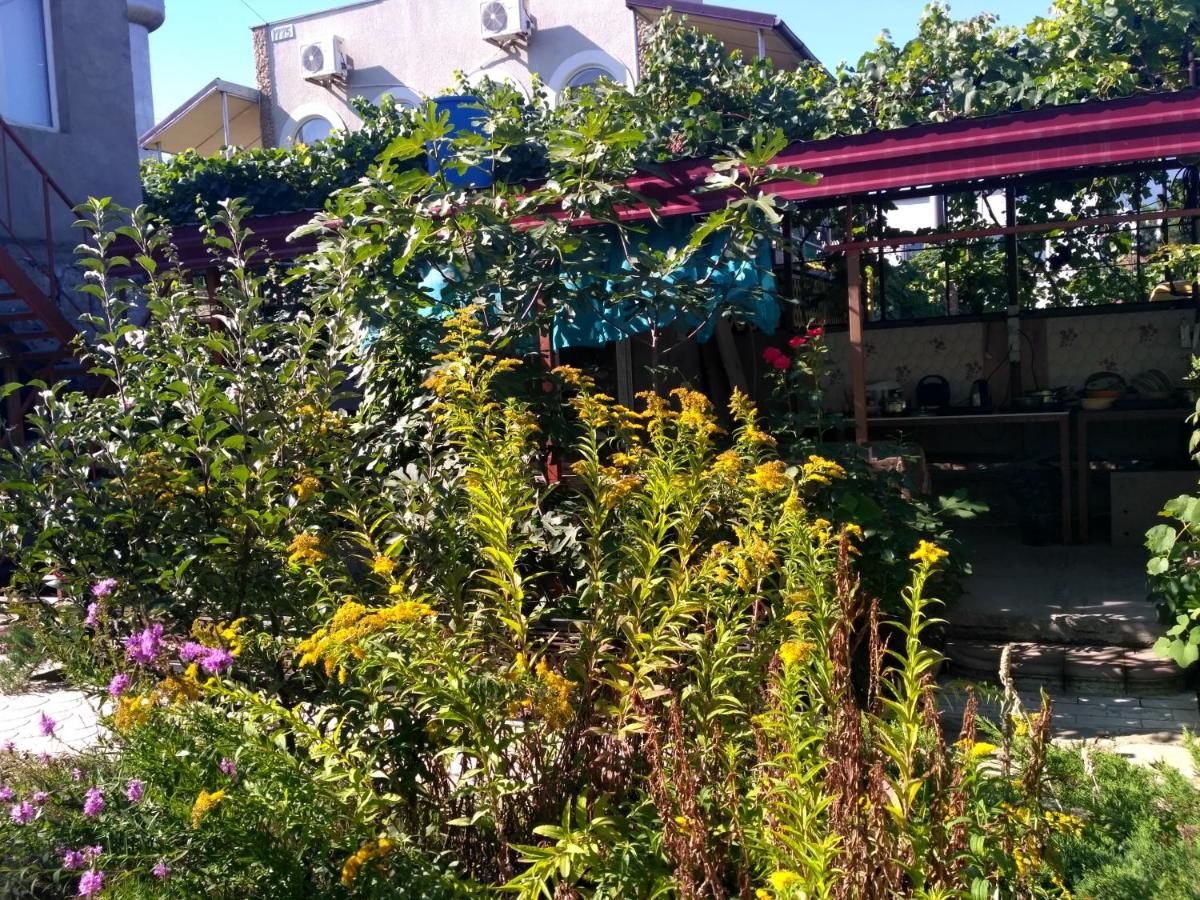 Гостевой дом Дом семейного отдыха Морской конёк Затока-7