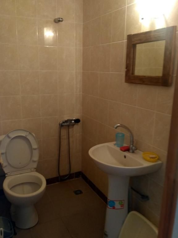 Гостевой дом Дом семейного отдыха Морской конёк Затока